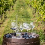Бокал для вина «Линия умана» Rona 0,76 л 1051196