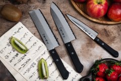 Набор из 3-х кухонных ножей Fuji Cutlery Tojuro (универсальный, сантоку и овощной) рукоять термопластик TJ-GIF