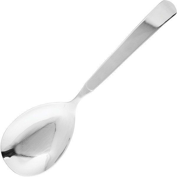 Лопатка сервировочная «Астра» L=26 см Pintinox 4110884