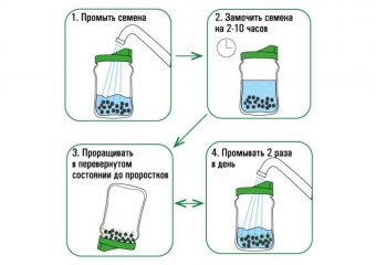 Домашний проращиватель крышка-сито "Здоровья клад"