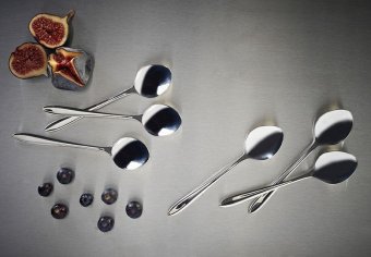 Набор из 24 столовых приборов eden арт. v_0302.576