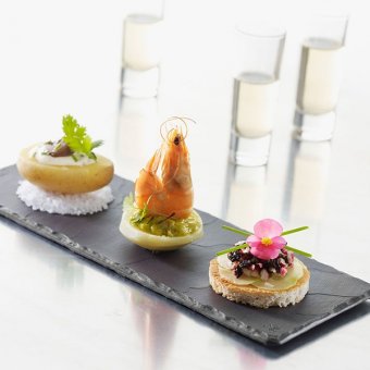 Блюдо прямоугольное Basalt 30x11 см REVOL 3020924