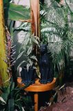 Горшок цветочный urban jungle panther, арт. DYURBPAPP