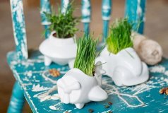 Набор для выращивания eco Самолет 7001