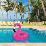 Круг надувной pink flamingo, арт. BMPFPF