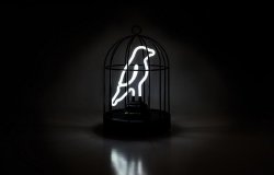 Светильник неоновый bird in a cage, арт. SK NEONBIRD1
