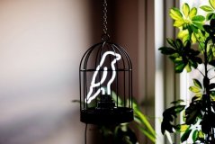 Светильник неоновый bird in a cage, арт. SK NEONBIRD1